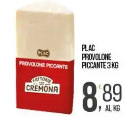 Cash pro Plac provolone piccante offerta