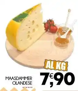 Maasdammer olandese