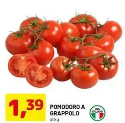 DPiù Pomodoro a grappolo offerta