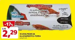 DPiù 10 uova medie da allevamento a terra offerta