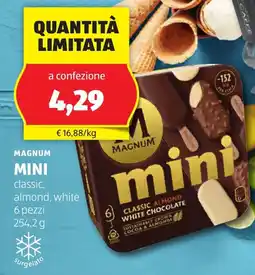 Magnum mini