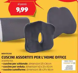 ALDI Novitesse cuscini assortiti per l'home office offerta