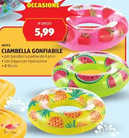 ALDI Intex ciambella gonfiabile offerta