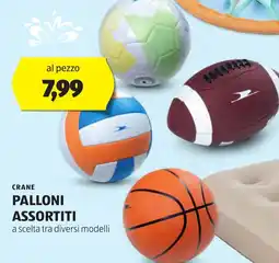 ALDI Crane palloni assortiti offerta