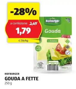 ALDI Hofburger gouda a fette offerta