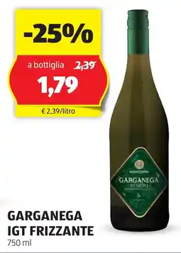ALDI Garganega igt frizzante offerta