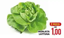 Mazzeo Giocattoli Insalata lattuga offerta