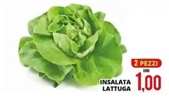 Mazzeo Giocattoli Insalata lattuga offerta