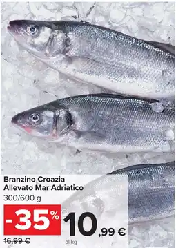 Carrefour Market Branzino Croazia Allevato Mar Adriatico offerta