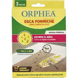 ESCHE FORMICHE E SCARAFAGGI ORPHEA