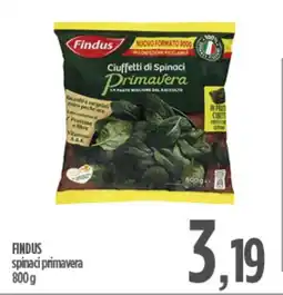 Ciro Amodio FINDUS spinaci primavera offerta