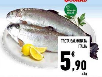 Conad Trota Salmonata Italia offerta
