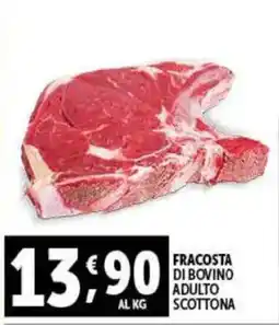 Gourmet Déco Fracosta di bovino adulto scottona offerta
