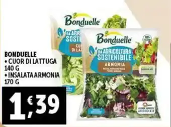 Gourmet Déco Bonduelle cuor di lattuga offerta