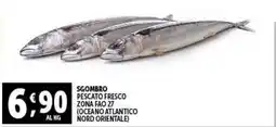 Gourmet Déco Sgombro pescato fresco offerta