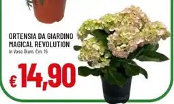 Famila ORTENSIA DA GIARDINO MAGICAL REVOLUTION offerta