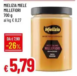 Famila MIELIZIA MIELE MILLEFIORI offerta