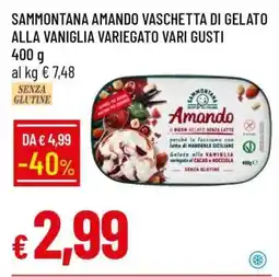 Famila SAMMONTANA AMANDO VASCHETTA DI GELATO ALLA VANIGLIA VARIEGATO VARI GUSTI offerta