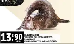 Gourmet Déco Rana pescatrice offerta