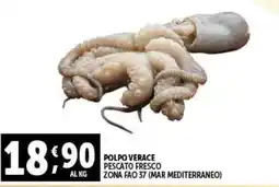 Gourmet Déco Polpo verace pescato fresco offerta
