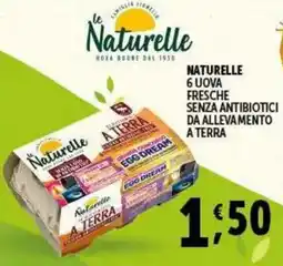 Gourmet Déco Naturelle 6 uova fresche senza antibiotici da allevamento a terra offerta