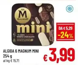 A&O Algida 6 magnum mini offerta