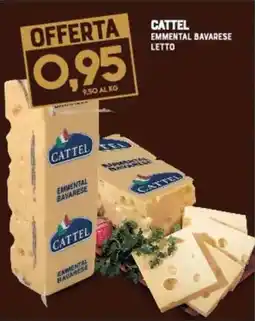 Gran Risparmio Cattel emmental bavarese letto offerta