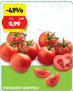 ALDI Pomodoro grappolo offerta