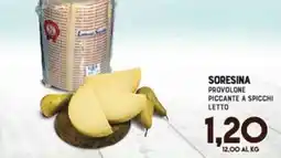 Gran Risparmio Soresina provolone piccante a spicchi letto offerta
