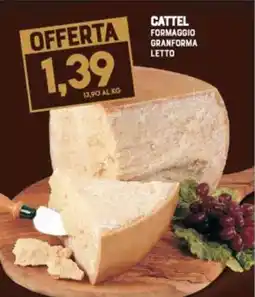 Gran Risparmio Cattel formaggio granforma letto offerta
