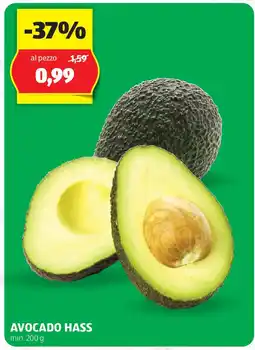 ALDI Avocado hass min. offerta
