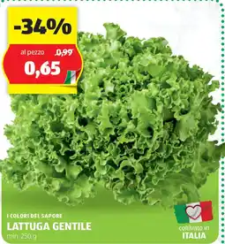 I colori del sapore lattuga gentile min.