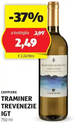 ALDI COPPIERE Traminer trevenezie IGT offerta