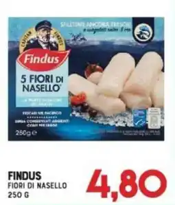 Gran Risparmio Findus fiori di nasello offerta