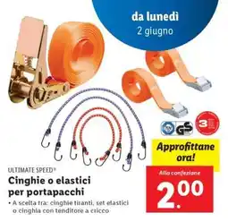 Lidl ULTIMATE SPEED Cinghie o elastici per portapacchi offerta