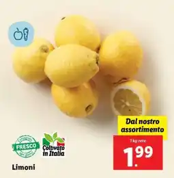 Lidl Limoni offerta