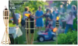 Coop TORCE BAMBOO PER GIARDINO offerta
