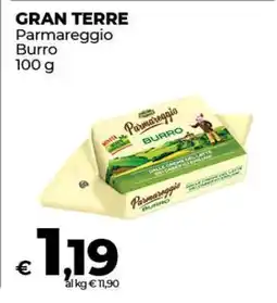 Coop GRAN TERRE Parmareggio Burro offerta