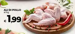 Coop Ali di Pollo offerta