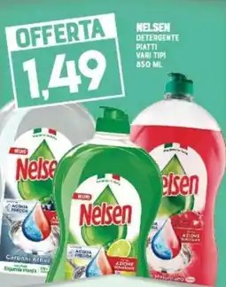 Gran Risparmio Nelsen detergente piatti vari tipi offerta