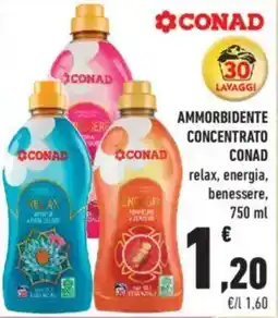 Conad City Ammorbidente concentrato CONAD offerta
