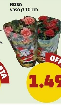 PENNY Piante offerta