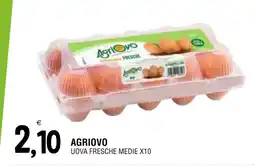 Al Discount Agriovo uova fresche medie x10 offerta