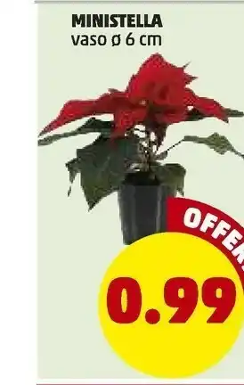 PENNY Spinaci offerta