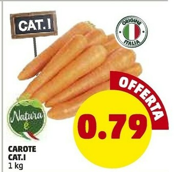 PENNY Carote offerta