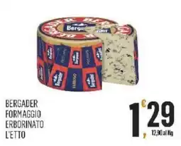 Vibian Bergader formaggio erborinato l'etto offerta