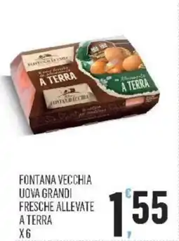 Vibian Fontana vecchia uova grandi fresche allevate a terra offerta