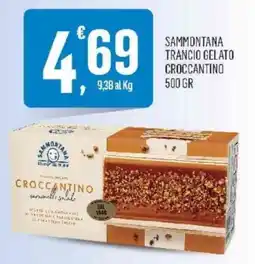 Vibian Sammontana trancio gelato croccantino offerta