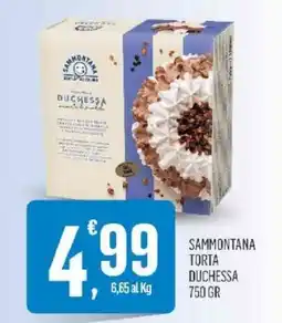 Vibian Sammontana torta duchessa offerta