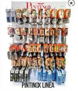 Cash pro Pintinox linea offerta